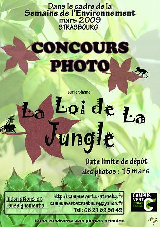 affiche concours photo strasbourg4.jpg